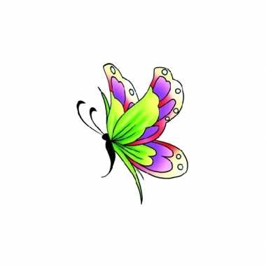 Carnavalskleding tatoeage glitter vlinder groen/paars helmond